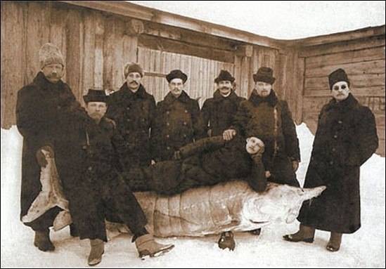 Картинок всяких