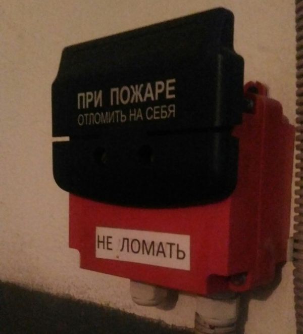 Подборка интересных и веселых картинок
