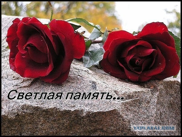 Знаменитости, которые покинули нас в 2017 году
