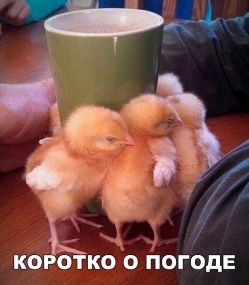Жизнь удивительна. 30+