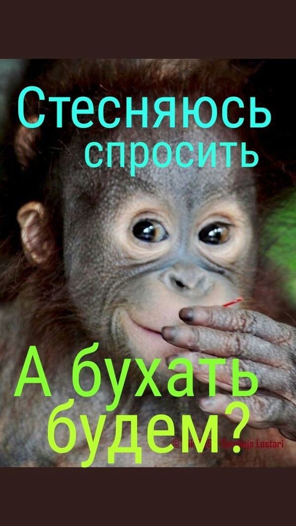 Смешные комментарии из социальных сетей 13.07.2018