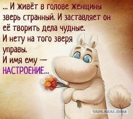 Почему бабы так любят рассказывать о своих бывших?