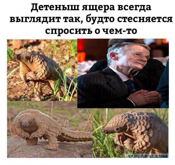 Нестандартный юмор