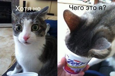 Женщины, которых любят только женщины