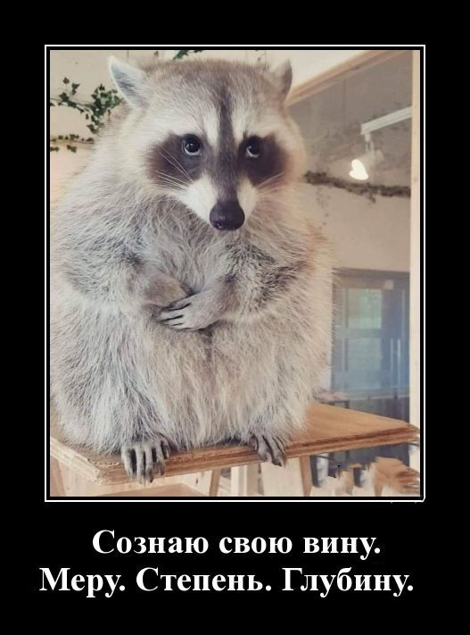 Если кто-то плохо представляет, что такое "енот в доме" - вот очень наглядное видео