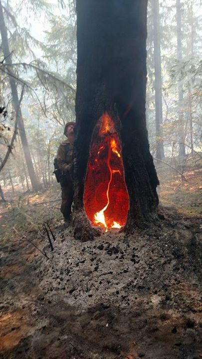 Подборка неинтересных и унылых картинок