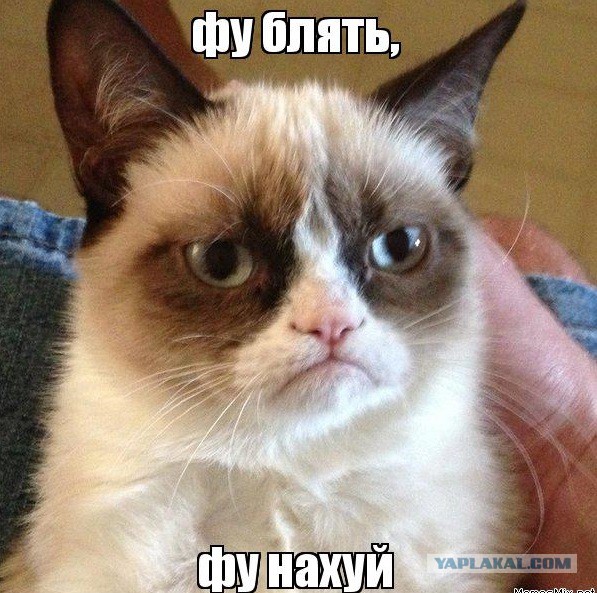 Не ссыте знакомиться