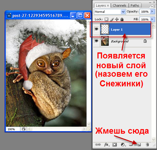Школа Фотожабы