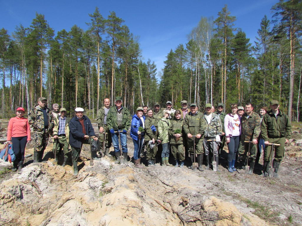 Сайт минлесхоза нижегородской. Департамент лесного хозяйства Нижегородской области. Ветлужское лесничество Нижегородской области. Богородский лесхоз. Лес Лукинского лесничества.