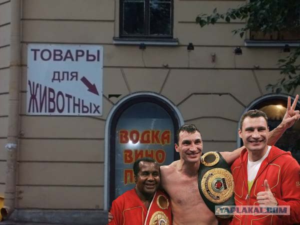 Фотожаба: Братья Кличко