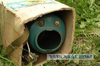 Фотожаба: Чернобыльская гусеница