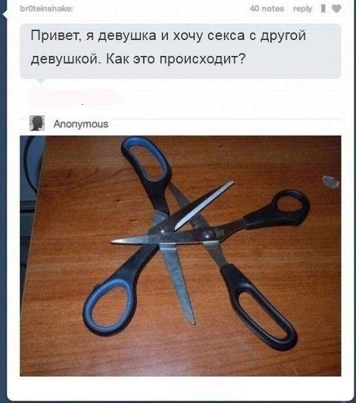 Картинки с надписями, фразы и анекдоты