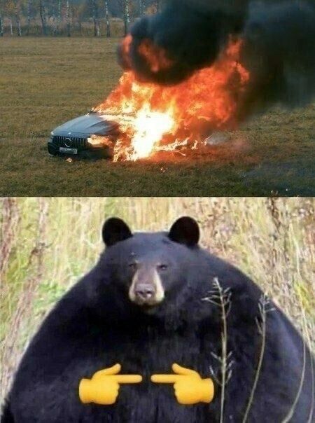 Когда стоит паниковать