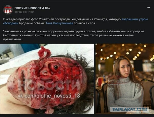 Валуев поджигает зады зооши... эммм у зооактивистов