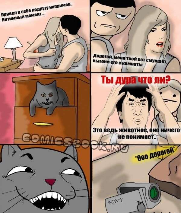 Коты и кошки угрожают экономике России
