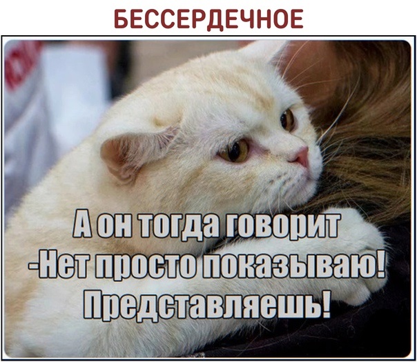 Здравствуйте