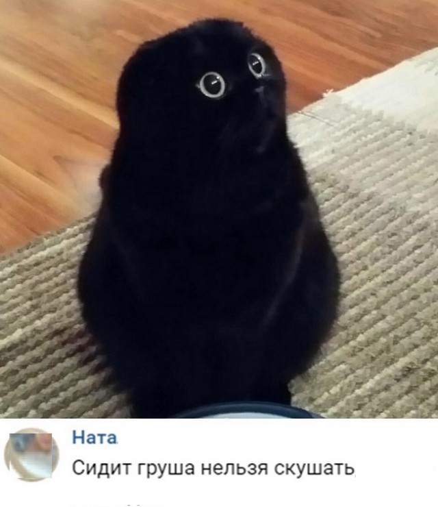 Картинки и мемы для настроения 12.10.2021