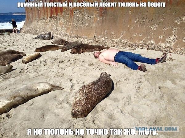 Картинки разные нужны, картинки всякие важны 01.12.2021