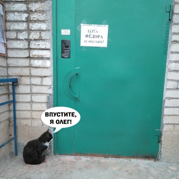 Картинки и мемы