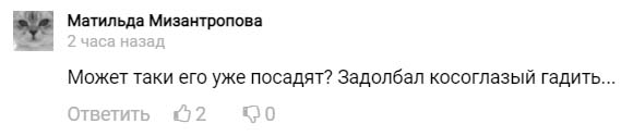 Ройзмана оштрафовали за дискредитацию ВС России