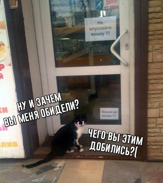 Деградация лайт 13.10.2022
