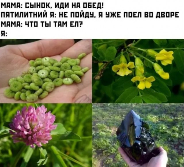 Картинки с надписями для поднятия настроения