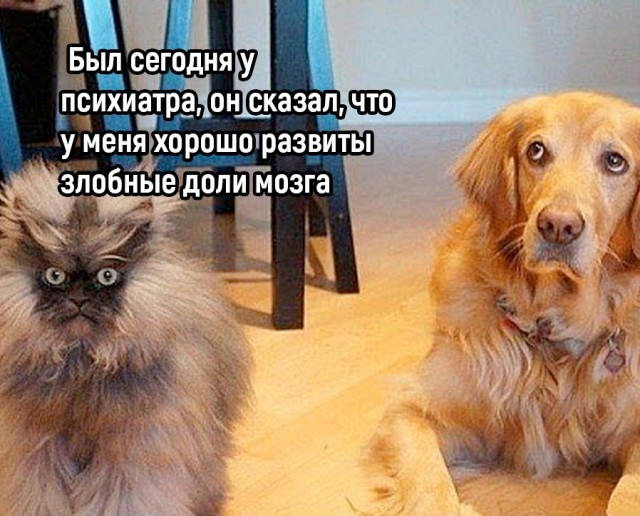 Картинки и мемы, всем хороших выходных