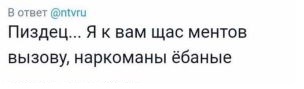 Задержана и обезврежена юная бомбистка