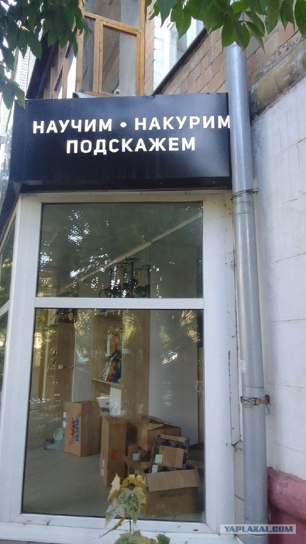 Так себе картинки 28.07.23