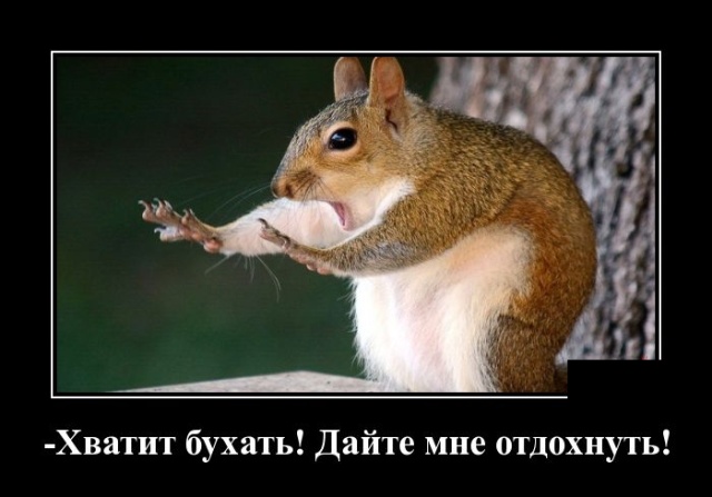 Как я соседа отправил в дурку