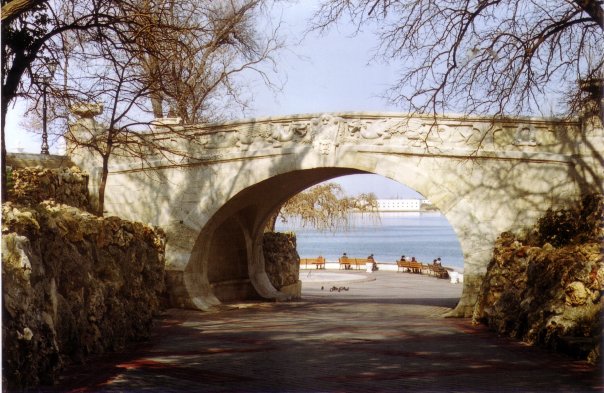 Красивые фото ЯПа