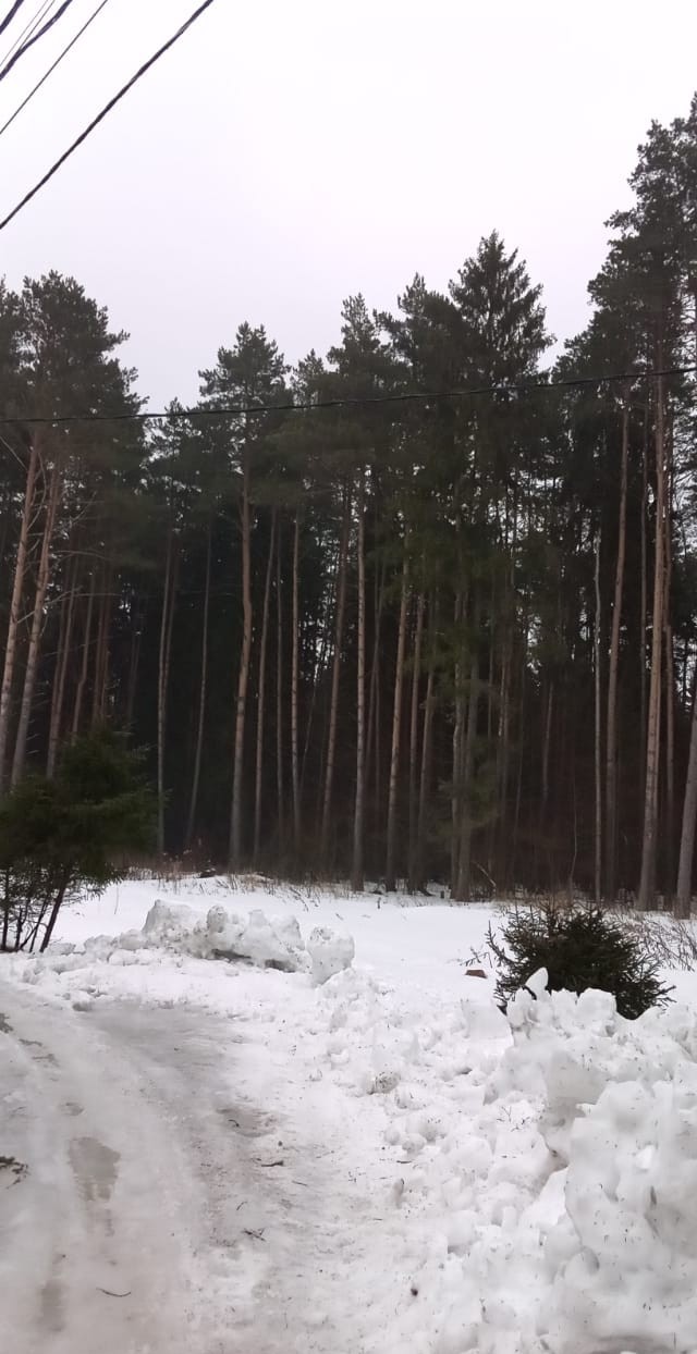 Алтайские деревни зимой