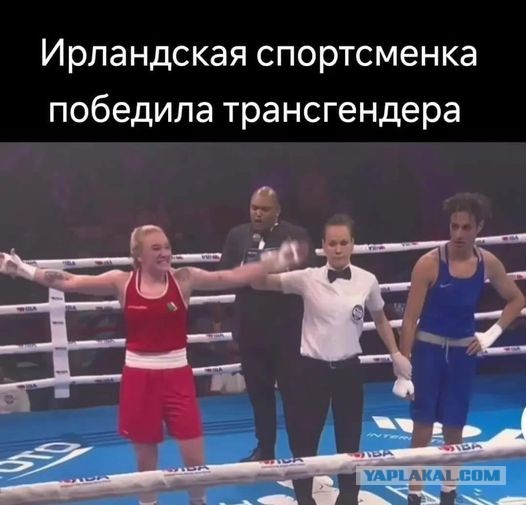 Боксер Кардильо заявил, что ощутил себя женщиной и хочет боя с трансгендерами* на ОИ