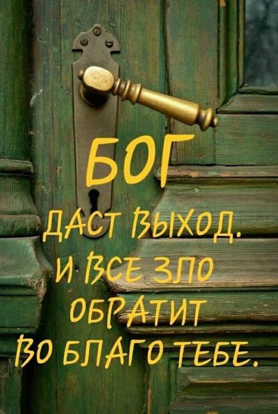 Прикольные и просто красивые картинки 23.08.2024