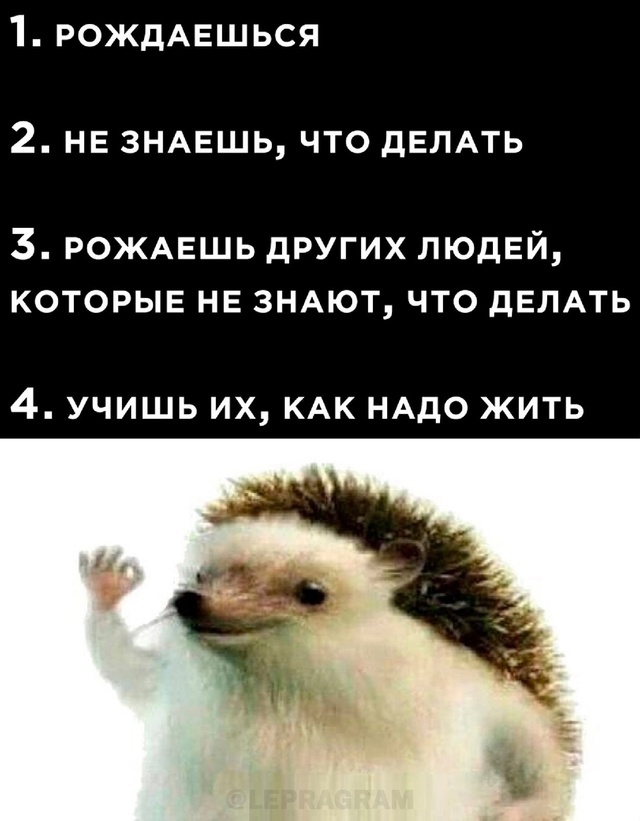 Веселые картинки в понедельник (30.09)
