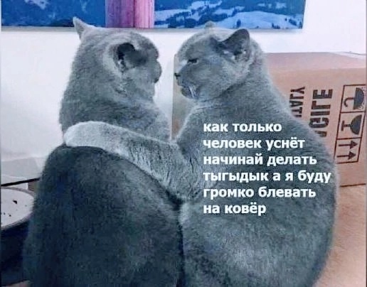 Так себе картинки 19.10.24