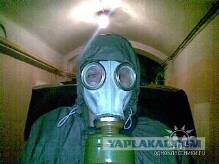 Дикие фото из социальных сетей