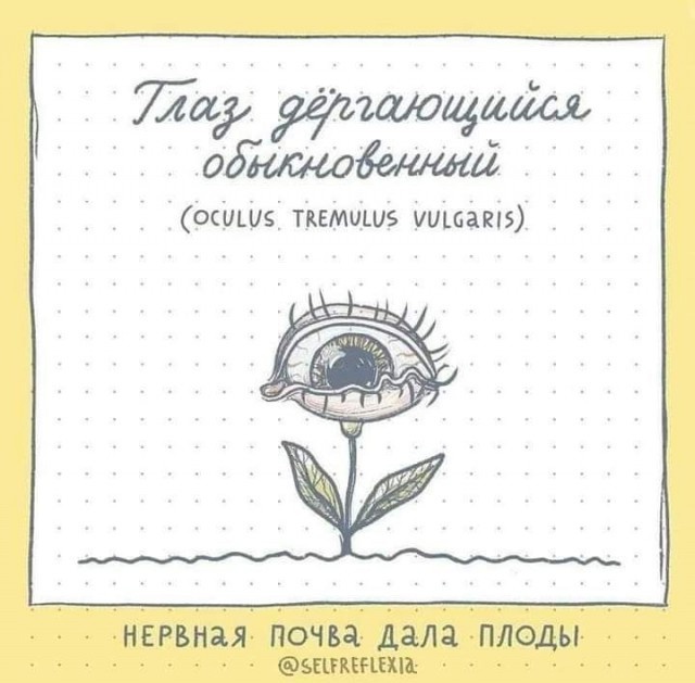 Так себе картинки 30.01.25