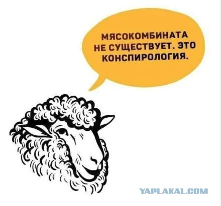Сертификаты на жильё для новых молодых семей вручил мэр Хабаровска