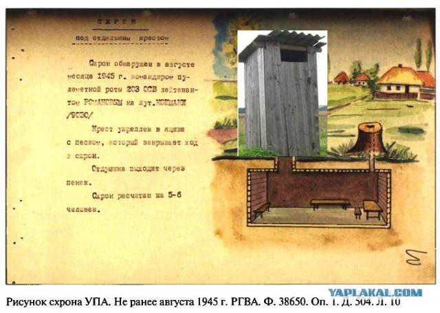 «Я не хочу умирать»: из-за чего Украина может оказаться «главной проигравшей»