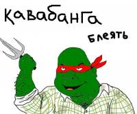 День рожденья черепашки