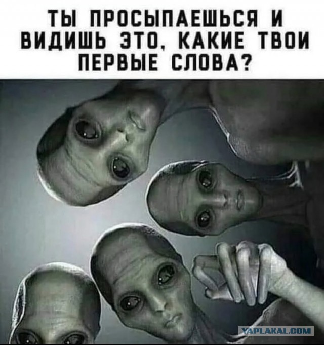 Так себе картинки 14.11.25
