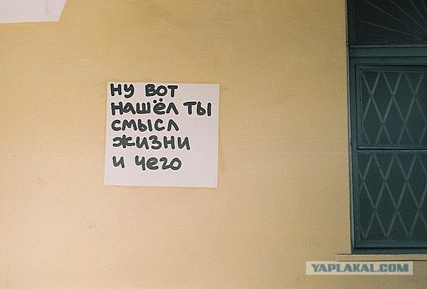 А зачем жить?