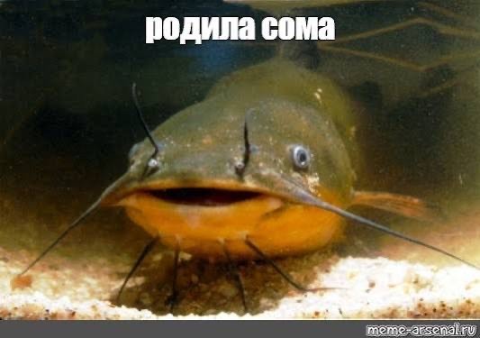 Необычный подарок получила девушка на выписке из роддома в Нефтеюганске
