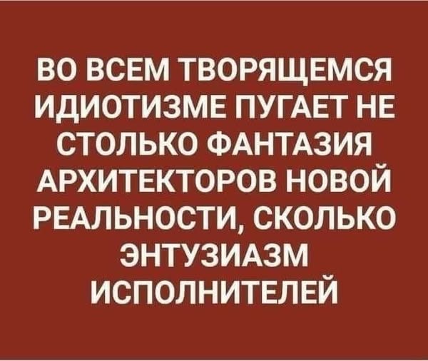 20772329.jpg