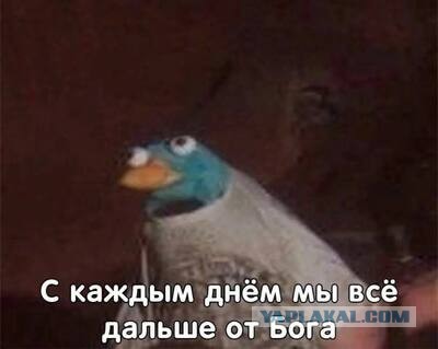 Мляяя…я все понимаю, деградируем … Но…Зачем я плачу за Интернет???