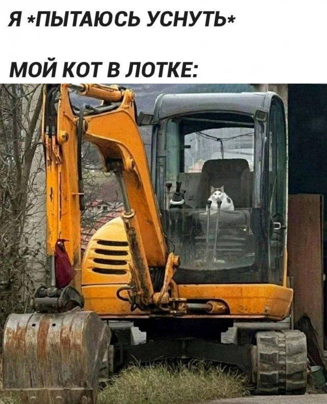 Так себе картинки 19.03.26