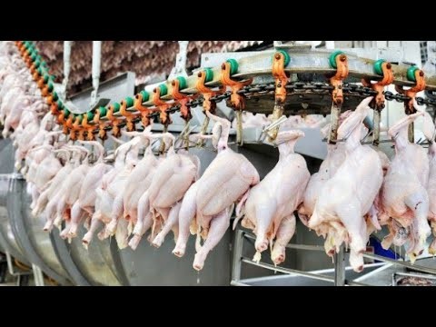 Румынки на любой вкус