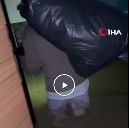 Спасение котика из затопленного школьного подвала в Турции