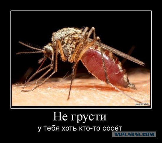 Личный сборник демотиваторов [~25]